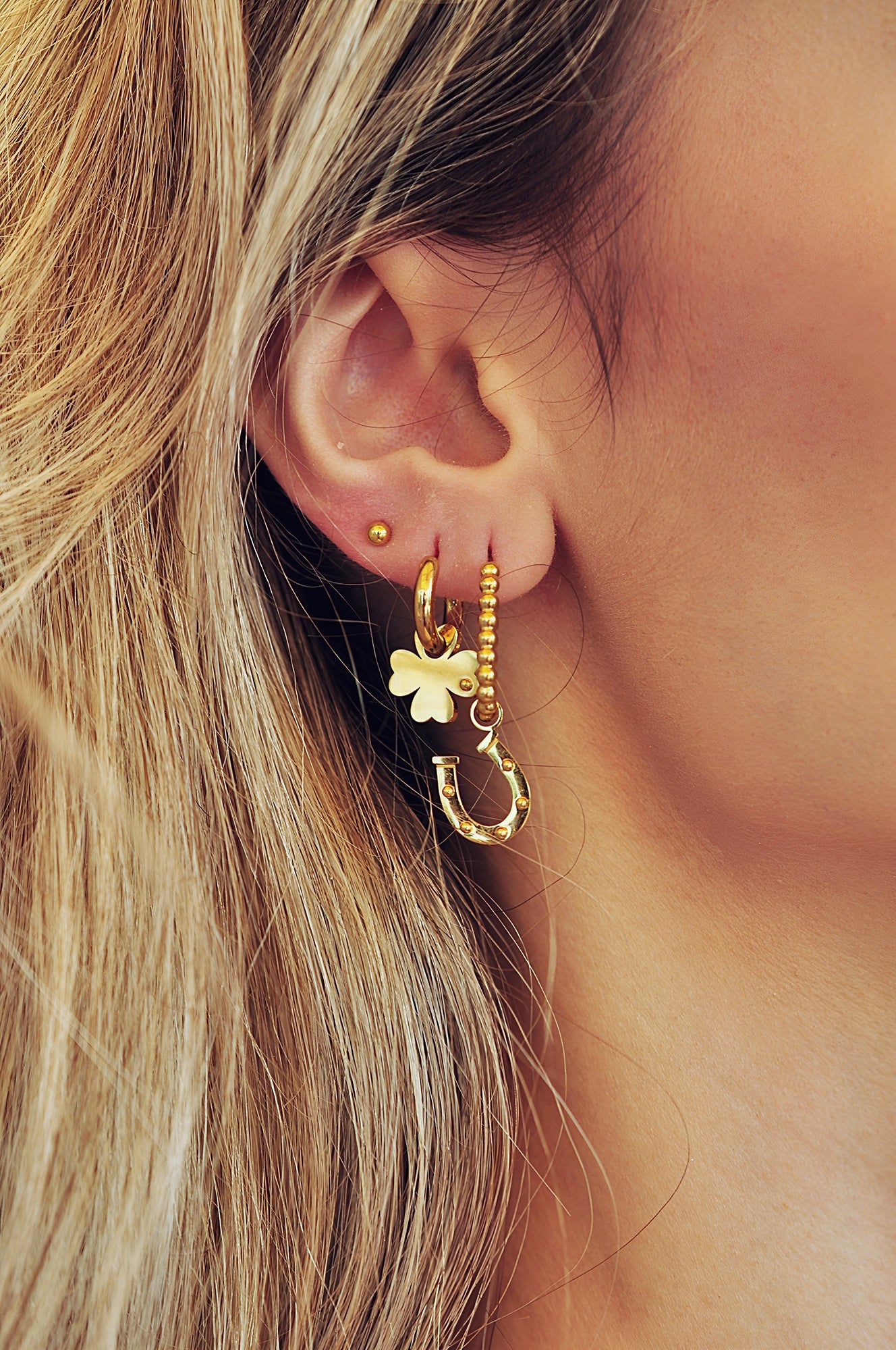 HORSE WHISPERER drop oval hoops