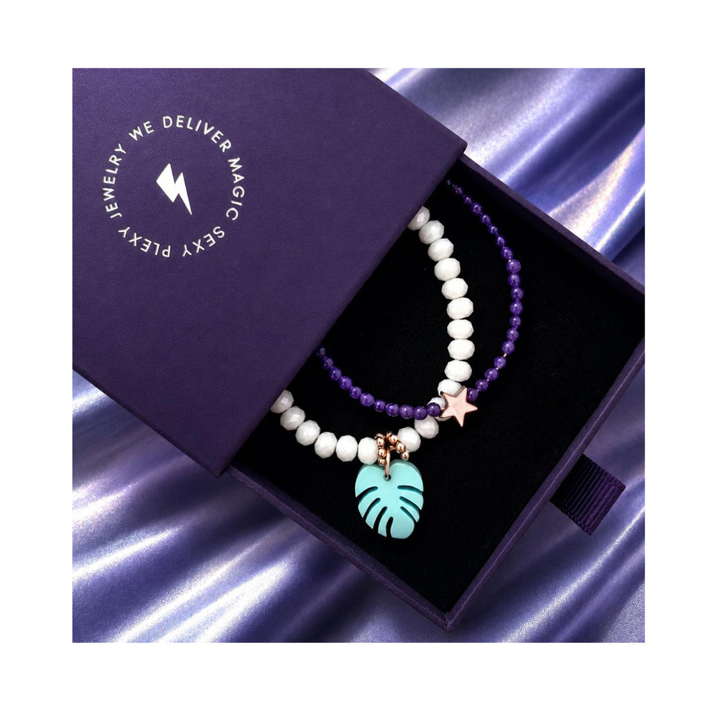 GIFT BOX monstera