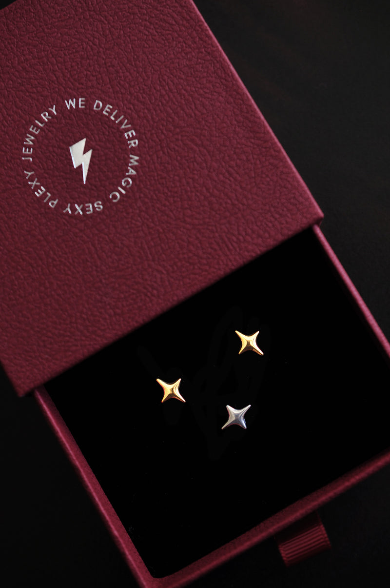 NORTHERN STAR stud earrings / NORTHERN STAR naušnice