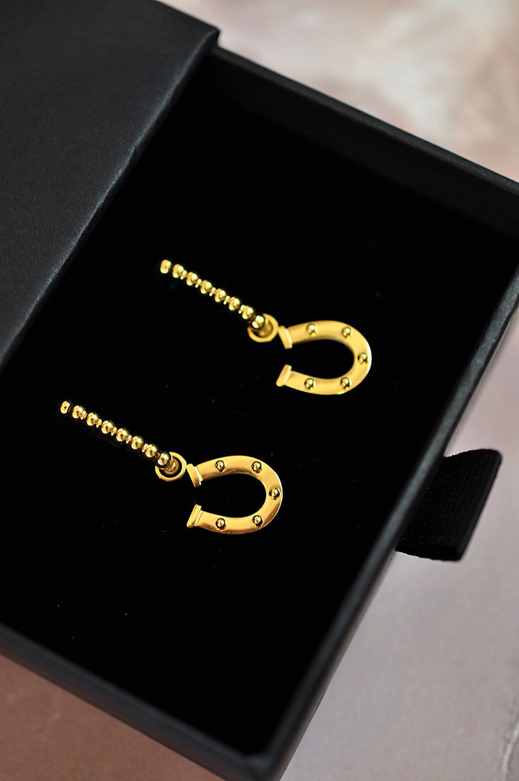 HORSE WHISPERER drop oval hoops