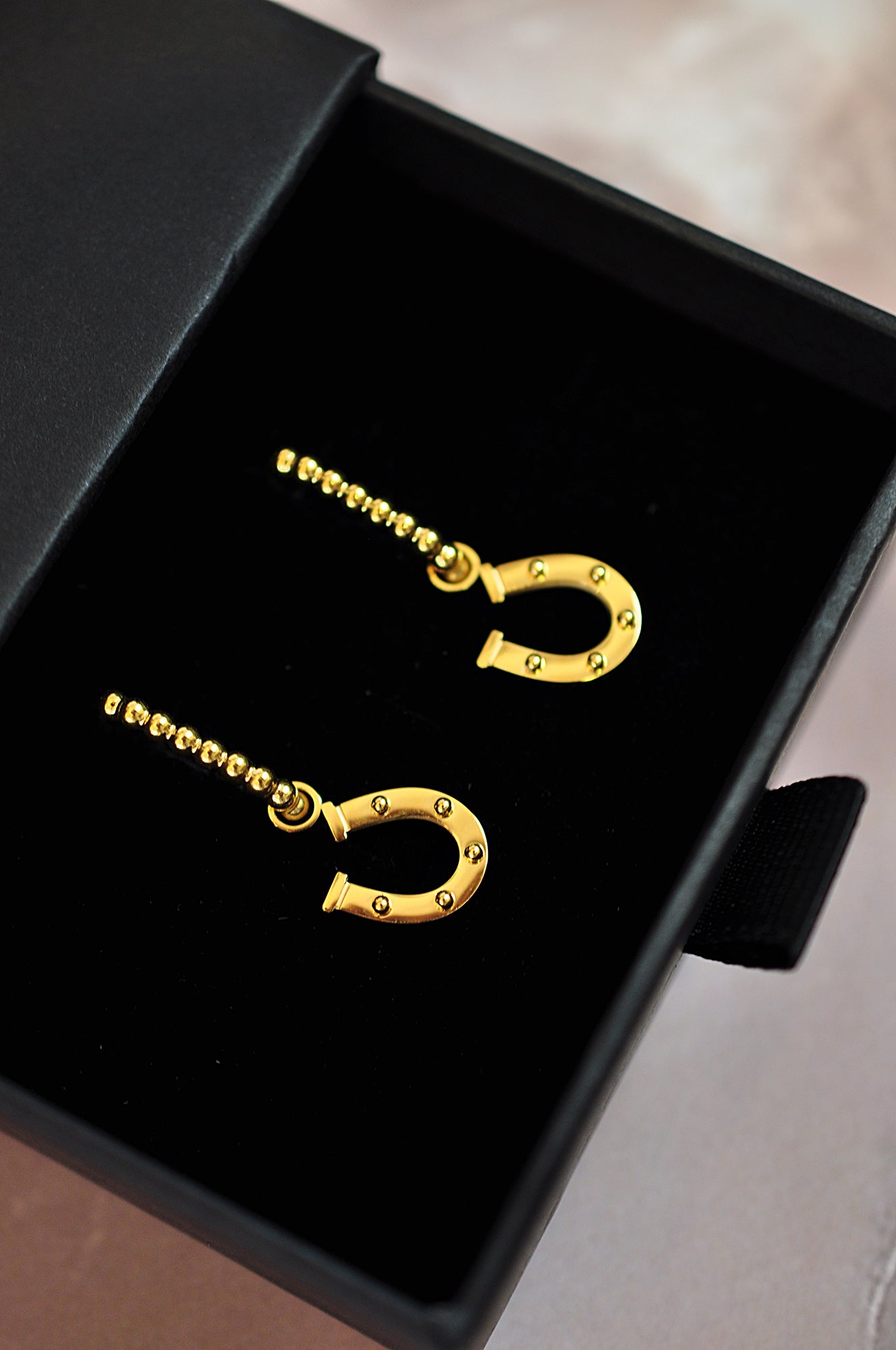 HORSE WHISPERER drop oval hoops