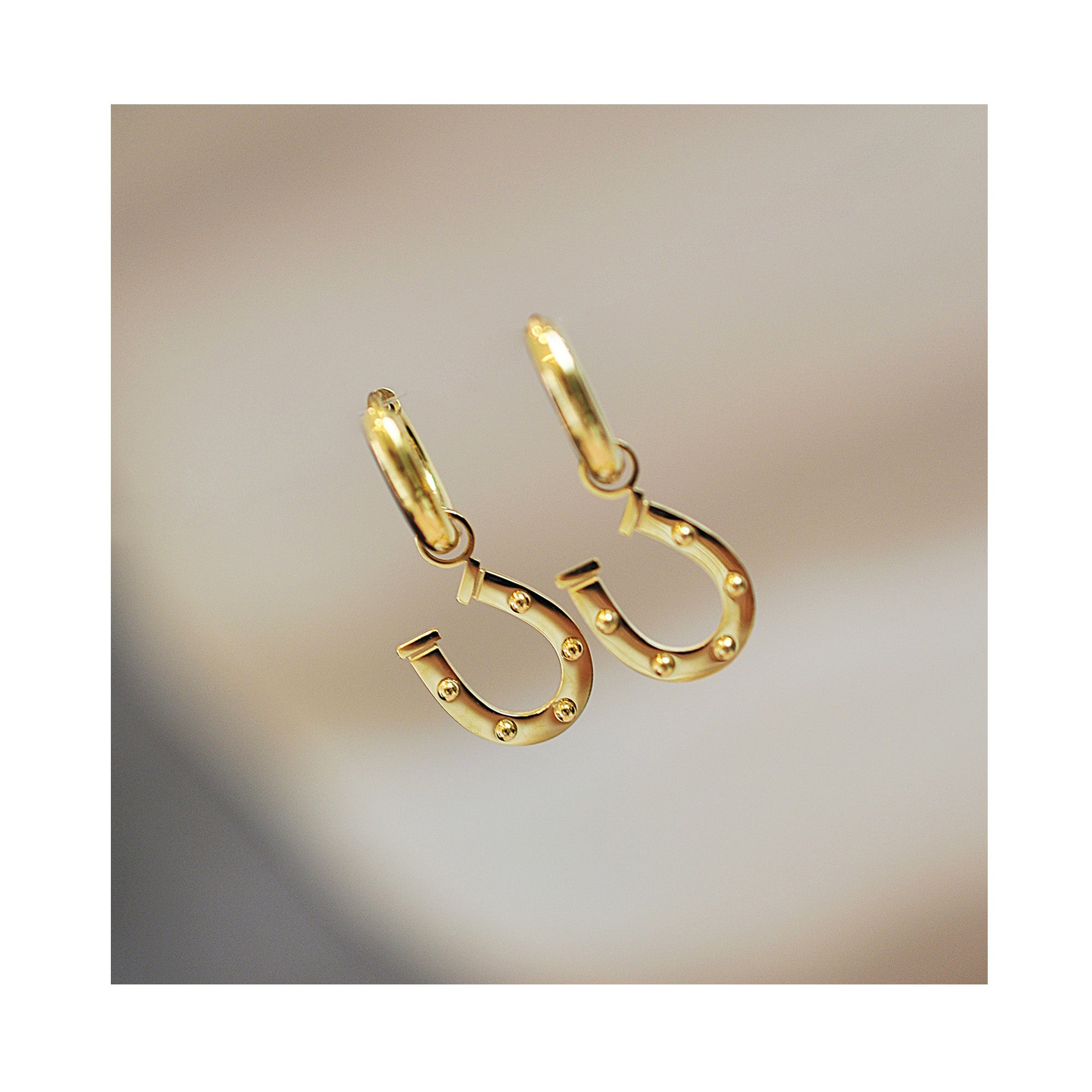 HORSE WHISPERER mini hoops