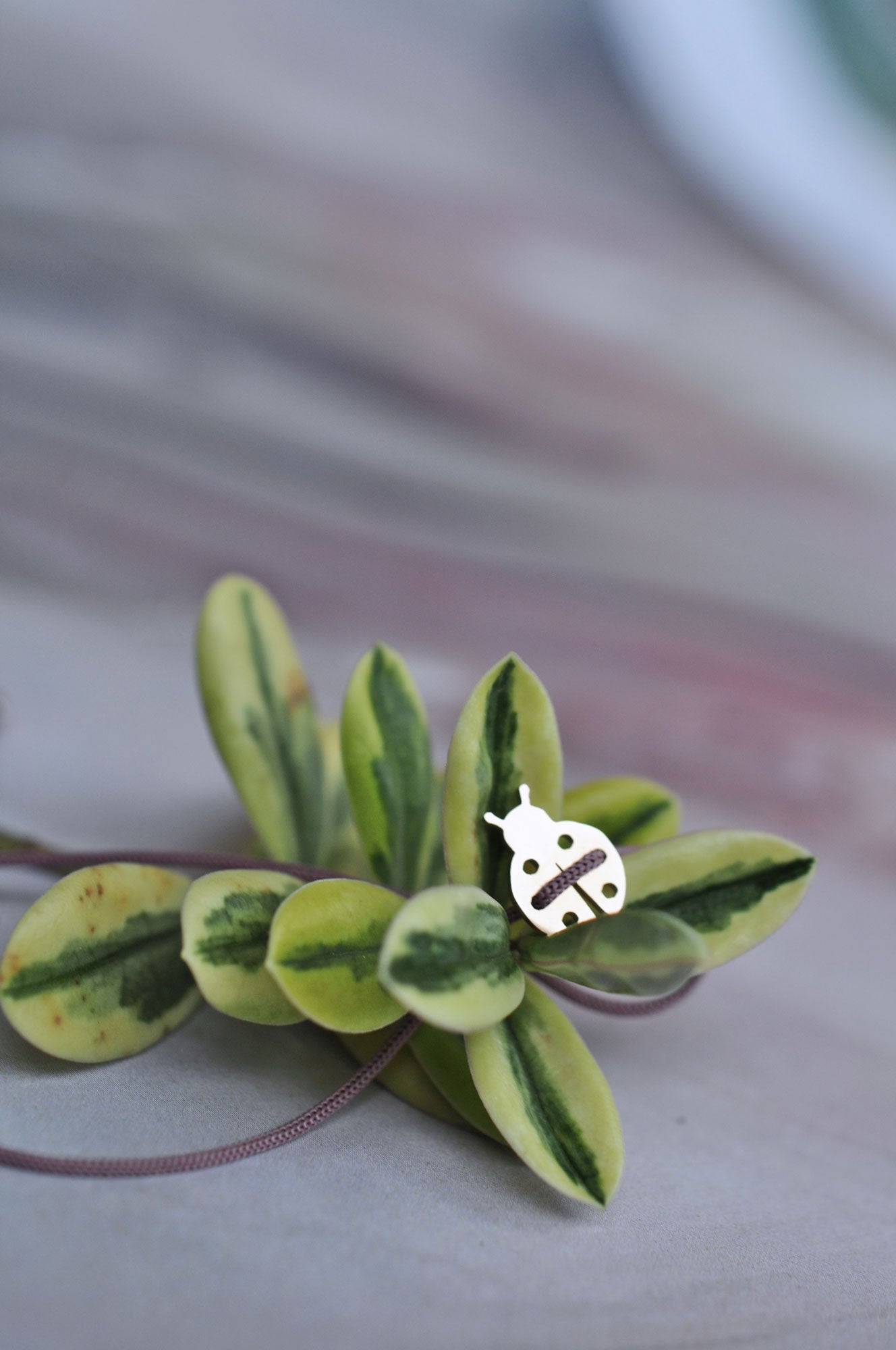 Posrebrena zapestnica PIKAPOLONICA / Posrebrena narukvica BUBAMARA 